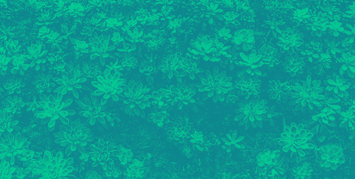 Open call for XIV GBIF.ES Workshop on Ecological Niche Modelling