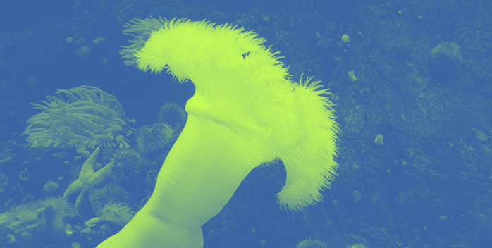 GBIF.org surpasses 1 billion species occurrence records