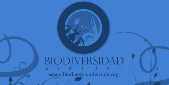 Fotografía y Biodiversidad, new biodiversity data provider of GBIF Spain